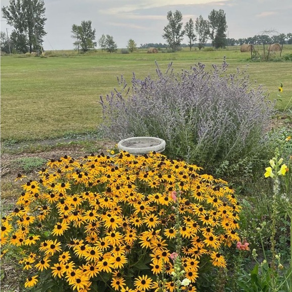 Meet your Posher, Bertha great! Deals on bundles!! - Picture 2 of 10